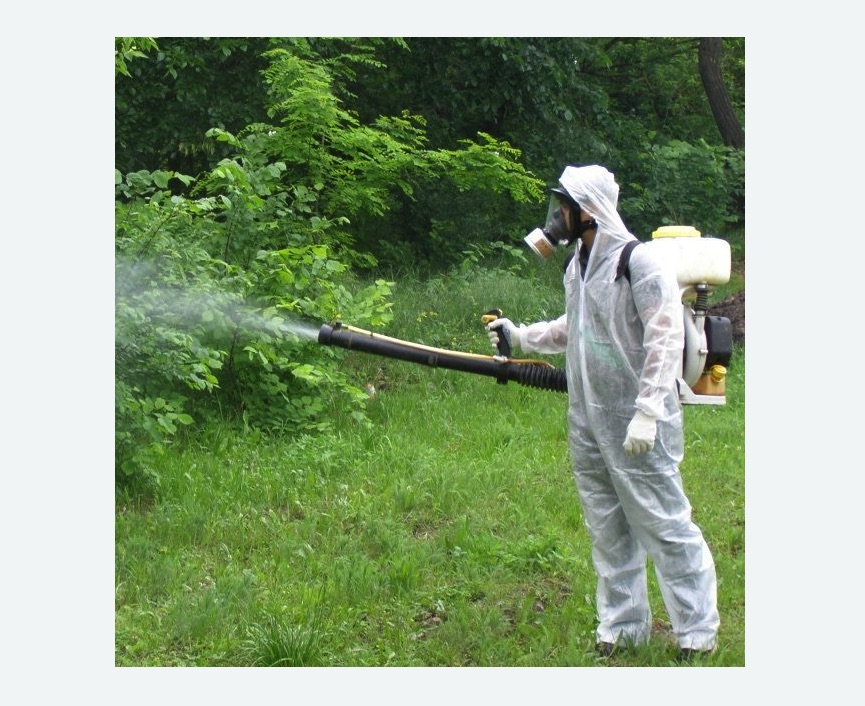 обработка территории от клещей в Любани