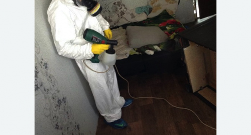 Обработка квартир от насекомых в Любани