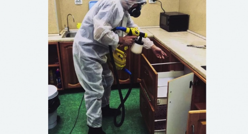 Дезинсекция квартиры. Любань