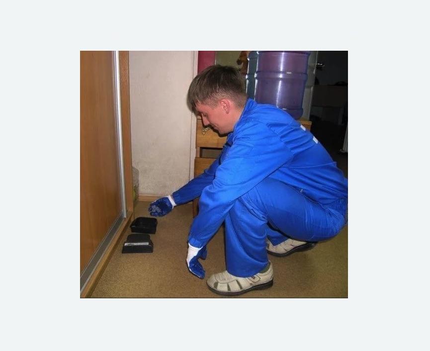 Дератизация крыс в Любани