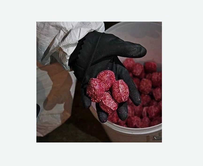 Обработка от крыс в Любани