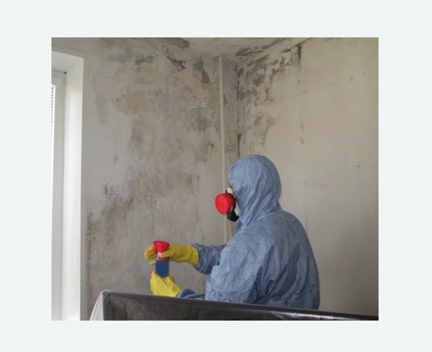 Удаление плесени в квартире Удаление плесени в квартире в Любани