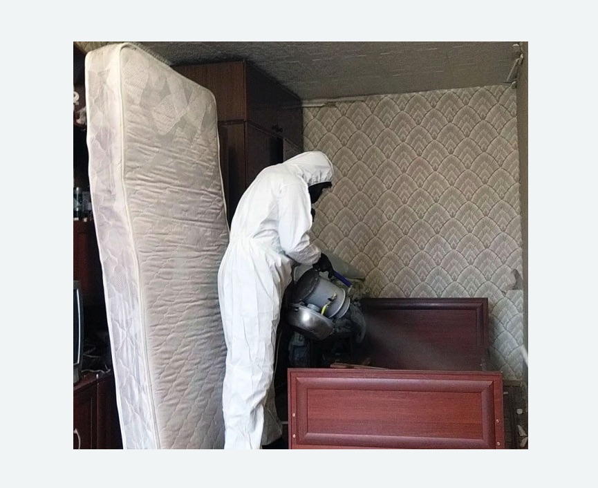 дезинфекция от клопов в Любани