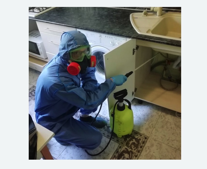 обработка от муравьев в квартире в Любани