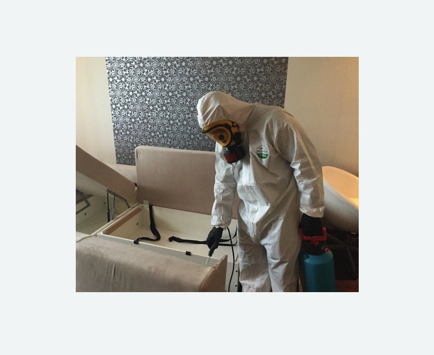 уничтожение клопов в квартире в Любани