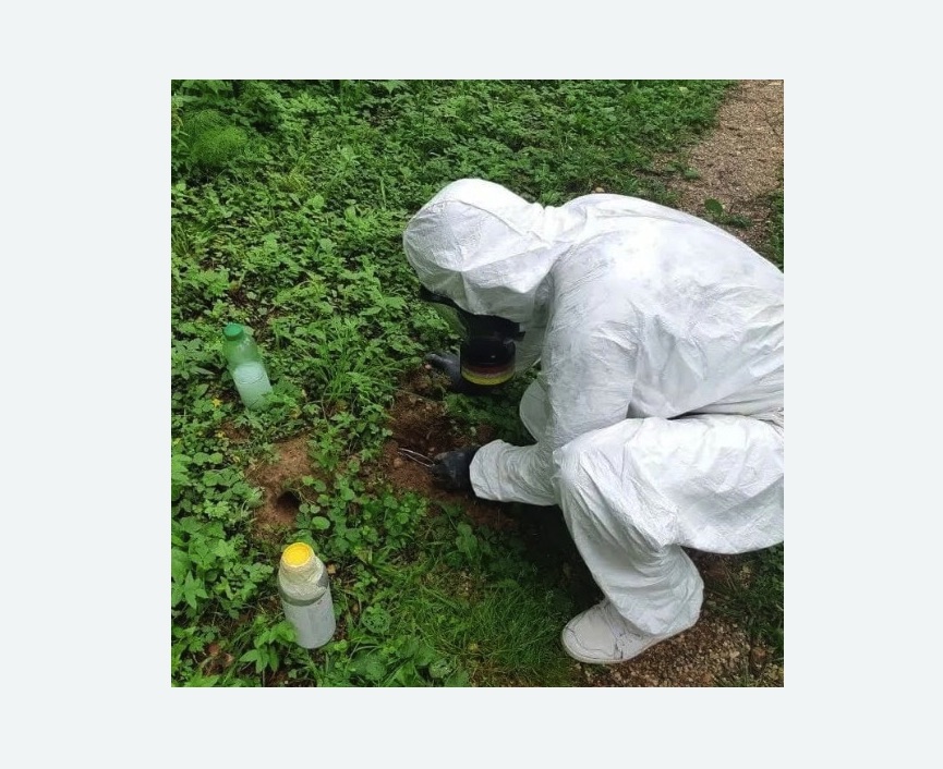 уничтожение кротов на участке в Любани