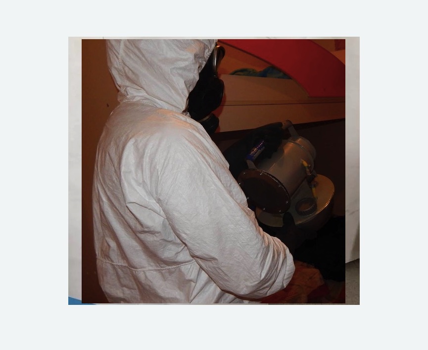 Дезинфекция от муравьев в Любани