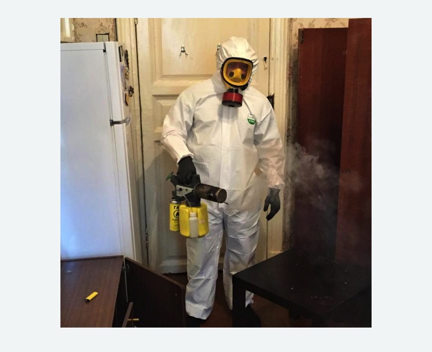 уничтожение муравьев в квартире в Любани